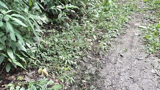 Avistei um tipo de lagarto desconhecido