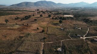 DRONE  FLORESTA VILA HUAMBO 7