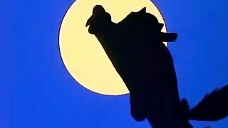 Animação 8
