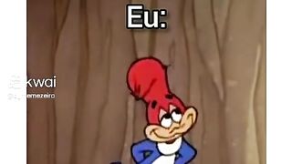 Pica-pau 2