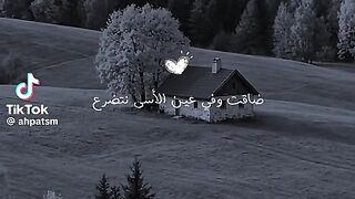 نشيد جميل 24