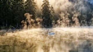 Golden Sunset on the Alpine Lake 🏔️ | Relaxing Visuals