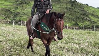 Meu corisco