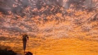 REFLECTION  #God #motivation #shorts #Jesus #hope #viral 2