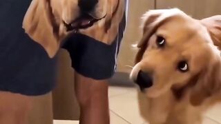 jara jara funny video United States America 100