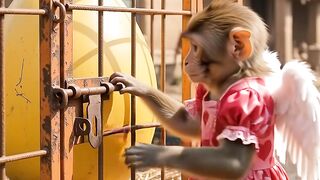 GIANT Egg vs Monkey! 🥚🦖 What Came Out Will Shock You! 😱😂