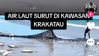 Krakatau steel erupsi 11