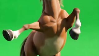 Cavalo engraçado
