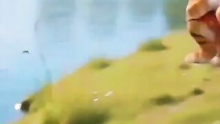 Crocodile Attacks a Cat 🐊😱 Then a Tiger Comes to the Rescue! 🐯🔥