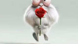 Popokkkkkkk