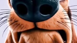 Cachorro quente