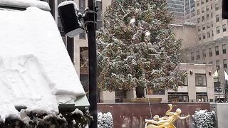 My Christmas in New York 2