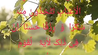 Quran majeed Islamic video 4