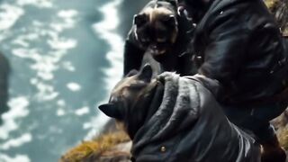 Cat video please support 🙏🙏
