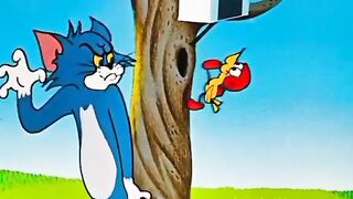 Jerry’s Outdoor Escape Leaves Tom Hanging! 😂🌳