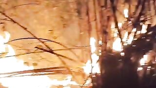 Kebakaran 13