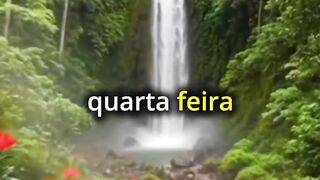 Oração da Manhã-Proteção Para Sua Quarta Feira