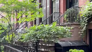 New York Today 2