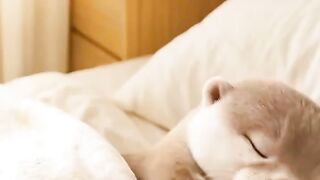 Sleeping 10