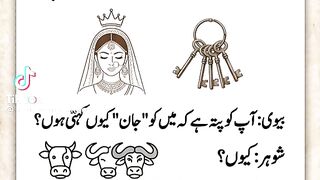 funny vedio 36
