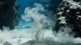 The Ocean Suddenly Went Silent… Then THIS Appeared 👀🌊