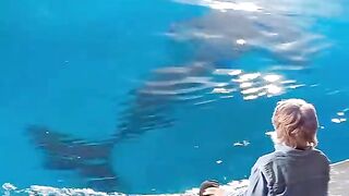 🐋 هذا الحوت الضخم ظهر فجأة… وما حدث بعد ذلك لا يُصدَّق! 😱🌊