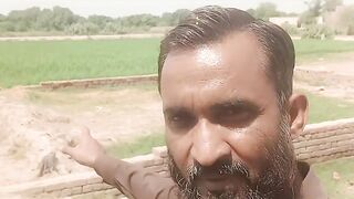 Aamir Adviser