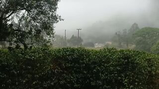 Chuva abençoada