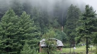 Nature 350