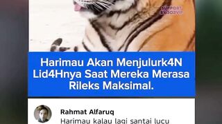 303NEWS 102