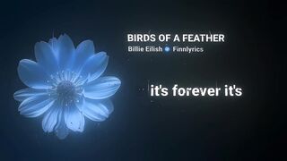 Birds OF a FEATHER