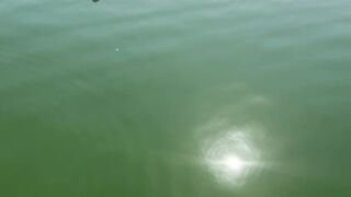 Apă soare și reflexie
