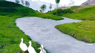 Nature 351