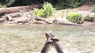 The River Guardian Appeared... 😨