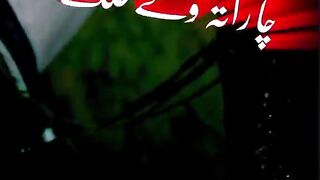 Viral video 244