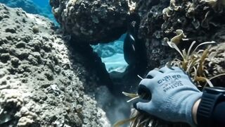 I Found Something Hiding Inside This Underwater Rock 👀🌊