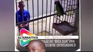 Bizarre News #BizarreNews #Viral 618