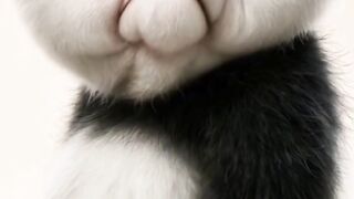 Rsrsrsrsrsrsrs