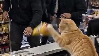 Bro protected the store and claimed