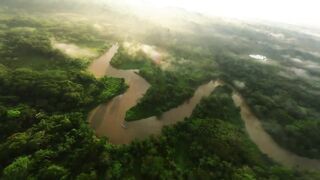 Amazon Jungle: A Wonder of Nature