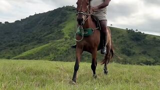 Vida do mintiroso