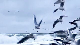 Beautiful nature 364