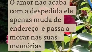 O que aprendi com o luto
