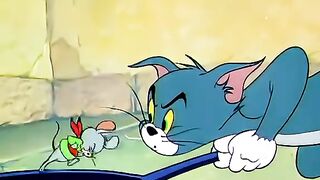 Tom e Jerry 6