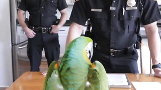 PHOMPT 2