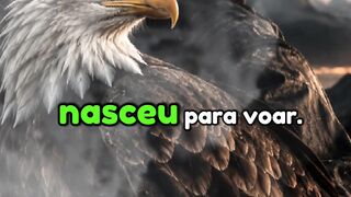 A Liberdade Que Ninguém Pode Dar.