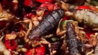 Chefe Leetorei e escorpiões fritos!