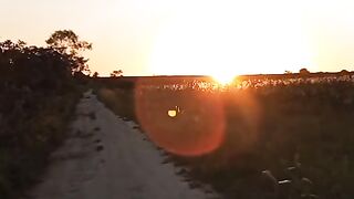 Quer ver um lindo por-do-sol?!