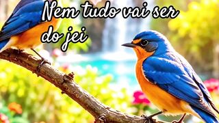 Tudo como Deus planejou .