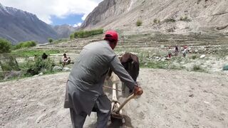 A Village in Pakistan: The Harmonious Life of the Fertile Hunza Valley (4K)